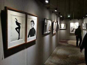 书画展板租赁哪里便宜 烟台书画展板设计 烟台书画展板定制 热带雨林供